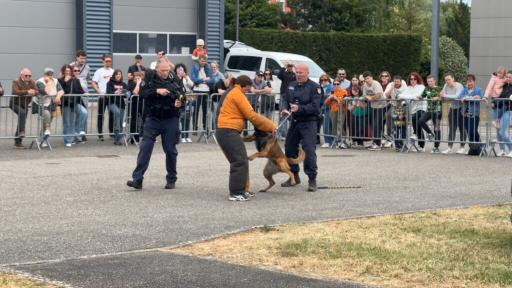 Véhicules, démonstrations, ateliers… la gendarmerie de Sarreguemines ouvre ses portes au public