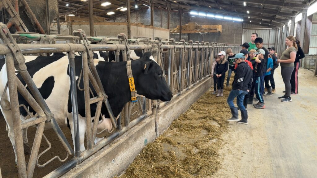 Une visite à la ferme des écoliers pour susciter des vocations
