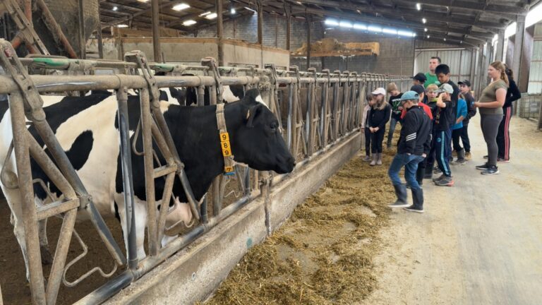 Une visite à la ferme des écoliers pour susciter des vocations