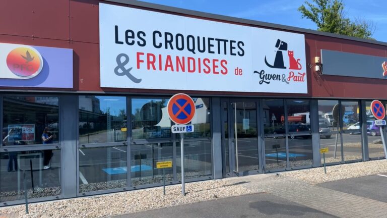 Un magasin pour les chiens et chats à Sarreguemines