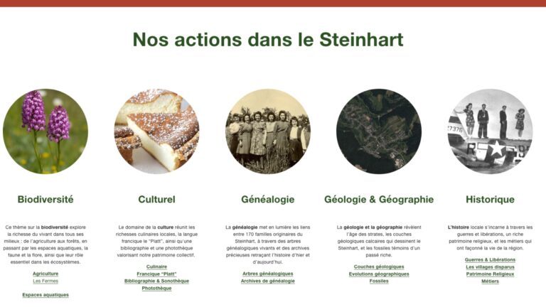 Un nouveau site internet pour découvrir le Steinhart : www.steinhart.fr