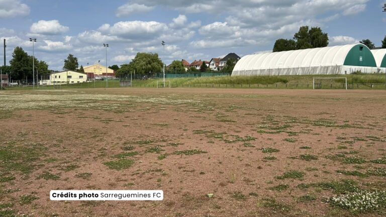 Bientôt un nouveau terrain vert à Sarreguemines