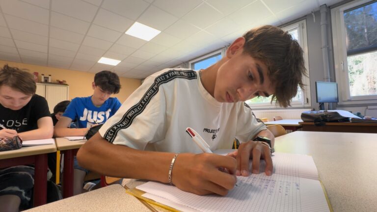 Un collégien de Sarreguemines finaliste du concours national PANGEA