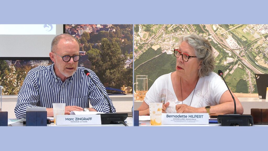 Conseil municipal de Sarreguemines Les élus d'opposition s'expriment