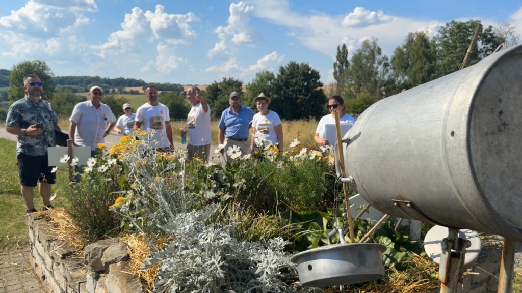 Villes et Villages Fleuris : Etting à la conquête d’une 3ème fleur