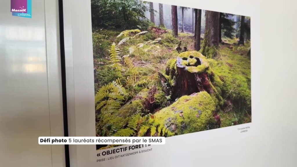Défi photo : 5 lauréats récompensés par le SMAS