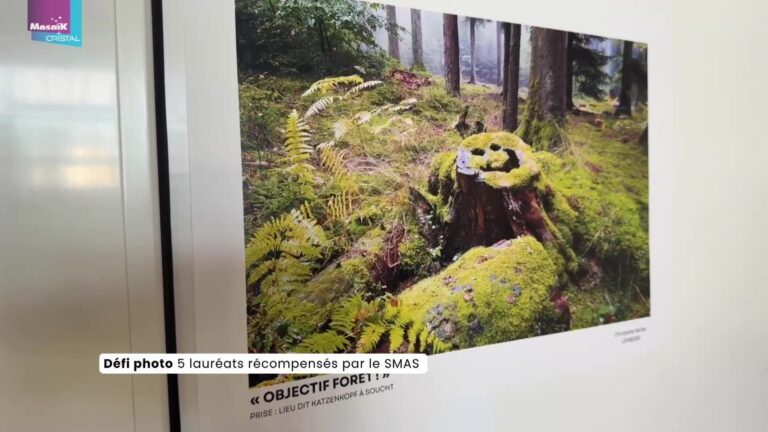 Défi photo : 5 lauréats récompensés par le SMAS