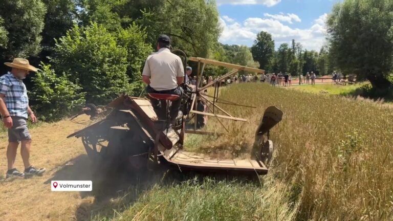 Fête des Saveurs, on a voyagé dans le temps à Eschviller