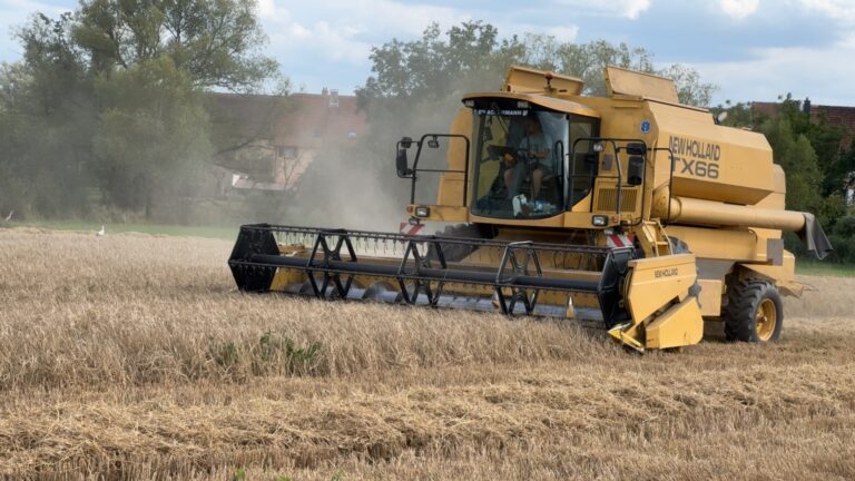 Economie Les enjeux de la moisson pour les agriculteurs