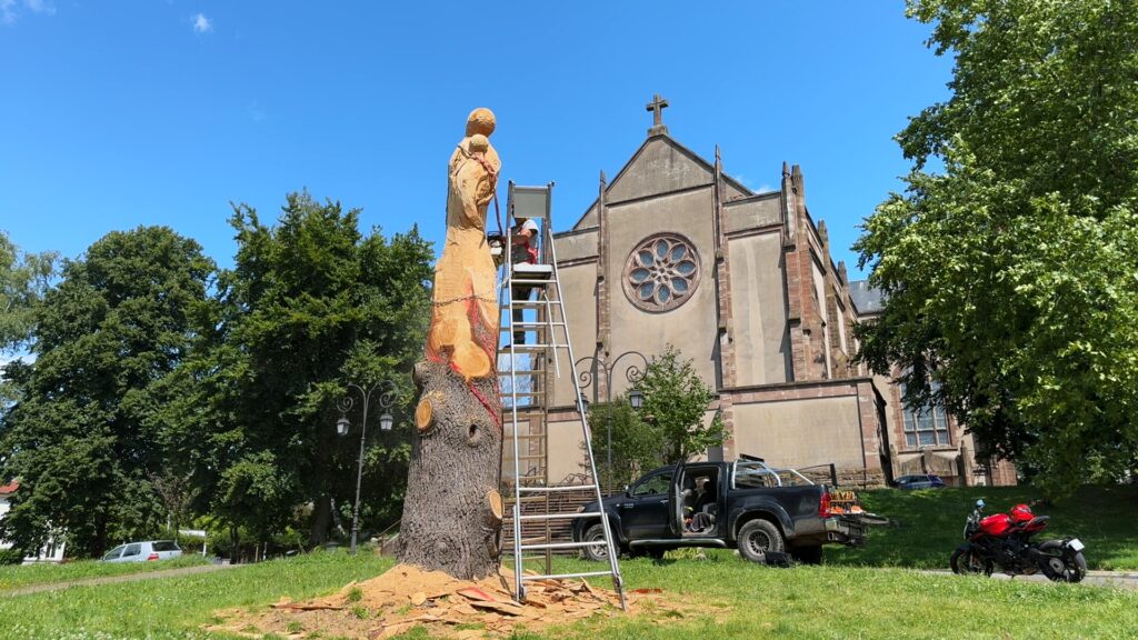 Un cèdre transformé en sculpture à Sarreguemines