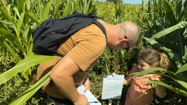 Saurez-vous résoudre les énigmes dans ce labyrinthe de maïs géant ?