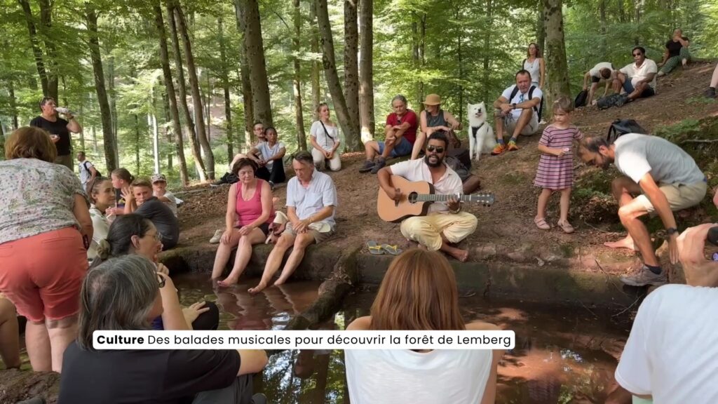 Des balades musicales pour découvrir la forêt de Lemberg