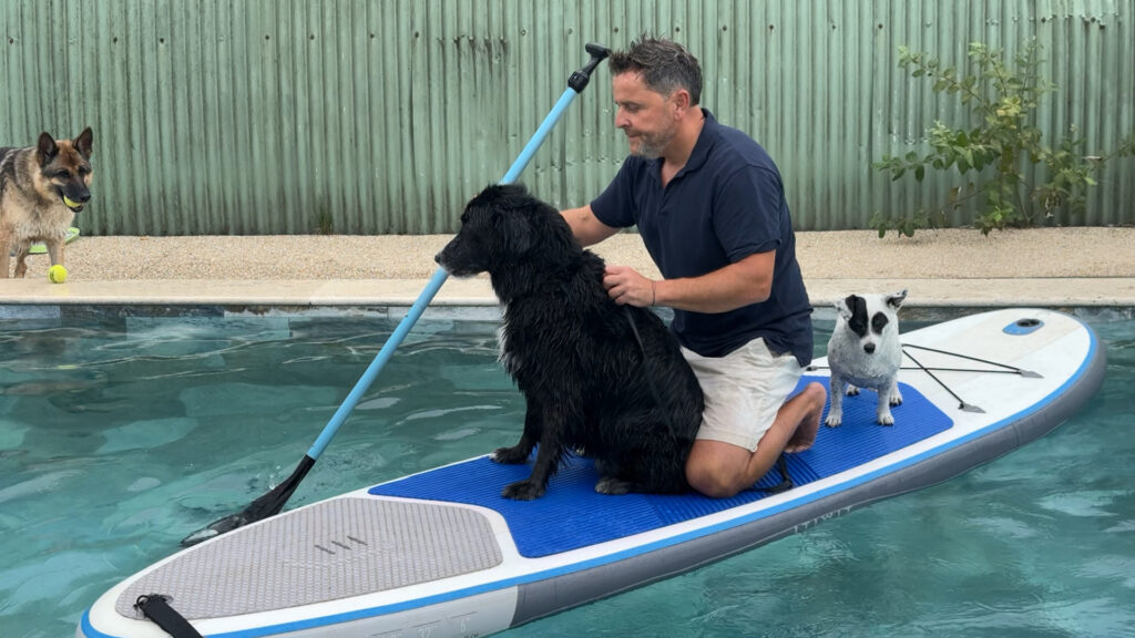 Les chiens ont aussi droit à leur piscine