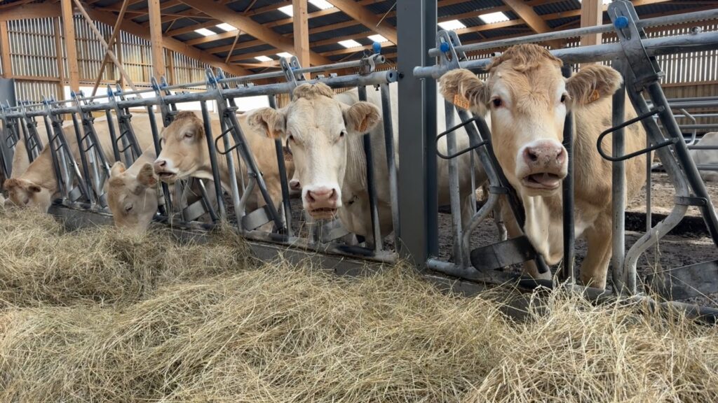 La tournée des fermes à la ferme Lang