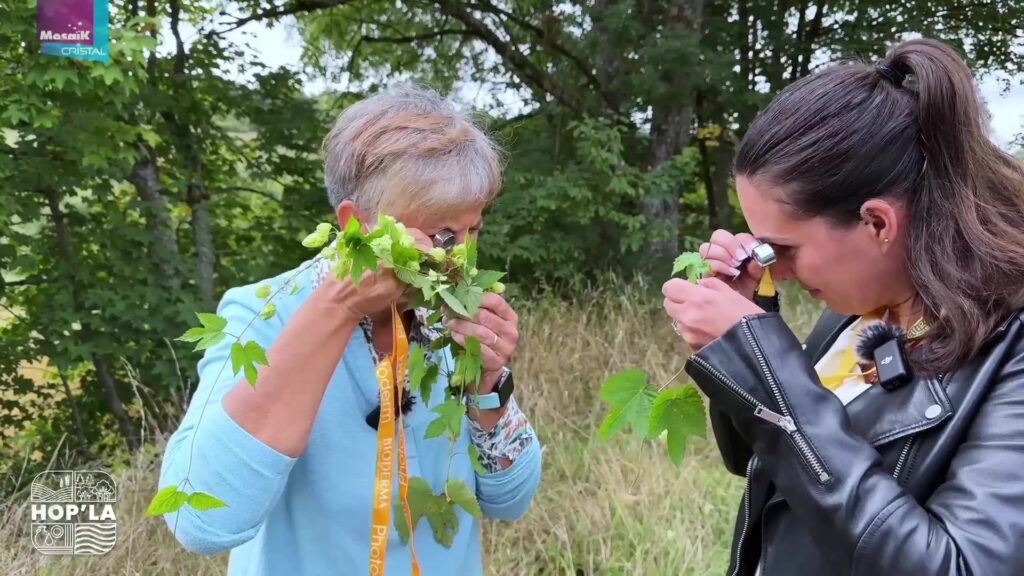 Hop’la à la découverte des plantes sauvages comestibles et médicinales