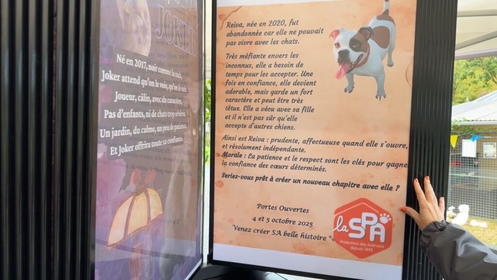 180 ans pour la protection animalière : la SPA ouvre ses portes au public