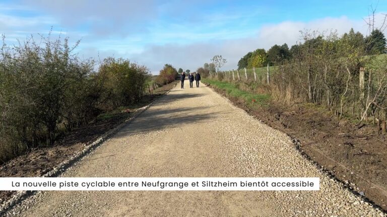 La nouvelle piste cyclable entre Neufgrange et Siltzheim bientôt accessible