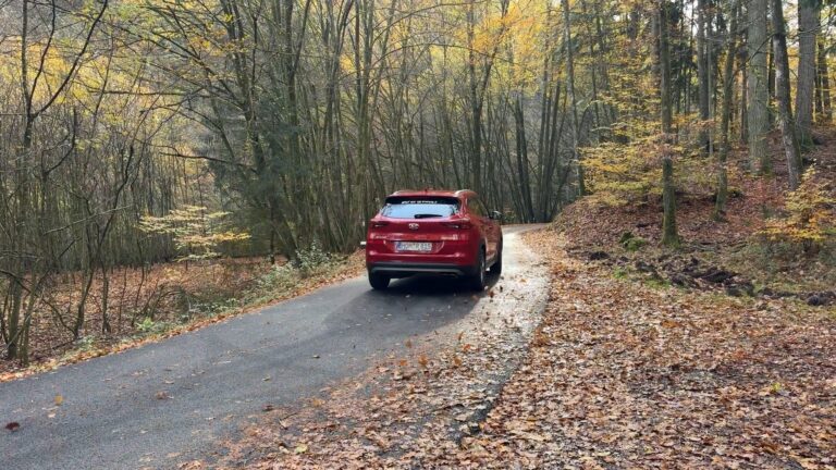 Des routes forestières de nouveau accessibles