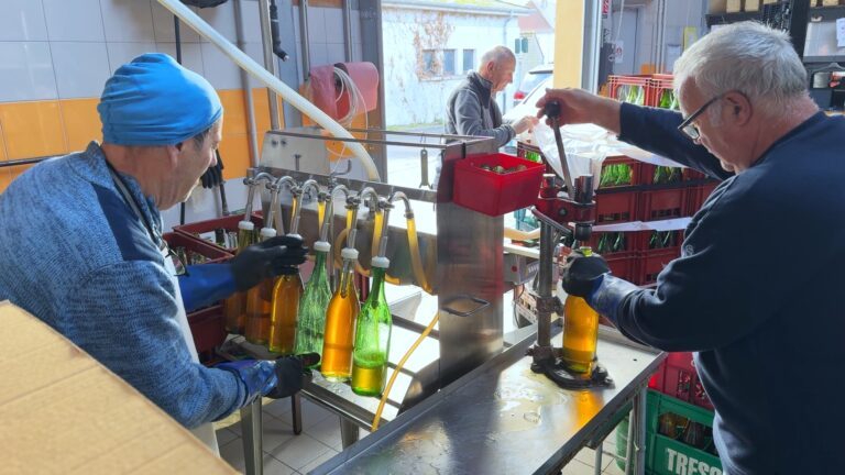 La fabrication du jus de pomme chez les arboriculteurs de Neunkirch