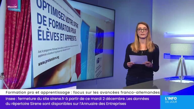Formation pro et apprentissage : focus sur les avancées franco-allemandes