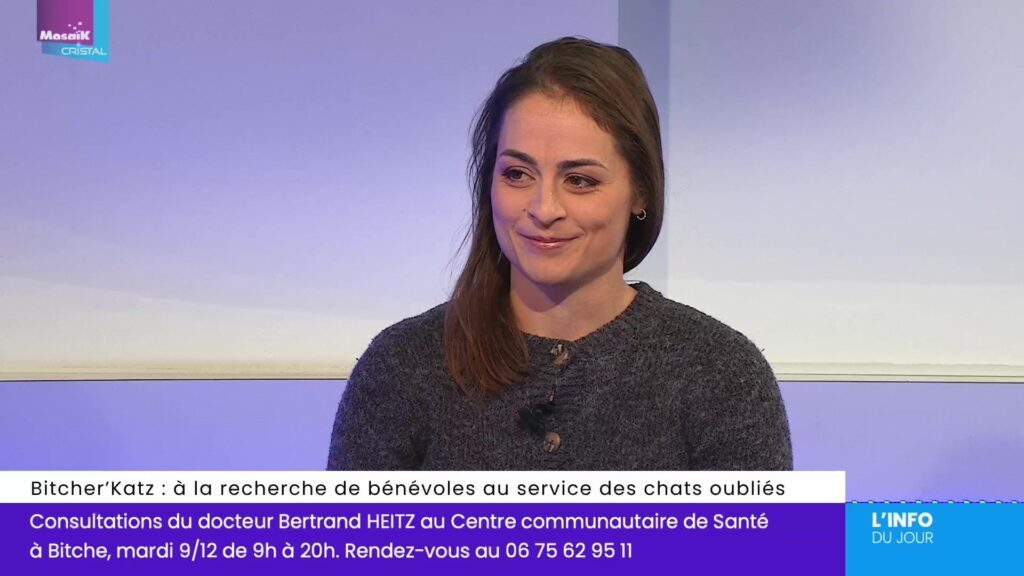 Bitcher’Katz : à la recherche de bénévoles au service des chats oubliés