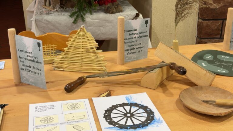 Restitution du projet mi-parcours design forestiers