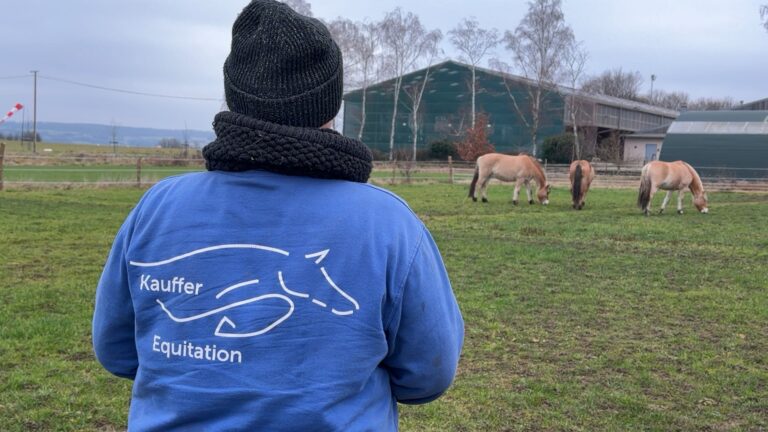 Une seconde vie pour le centre équestre de Sarreguemines