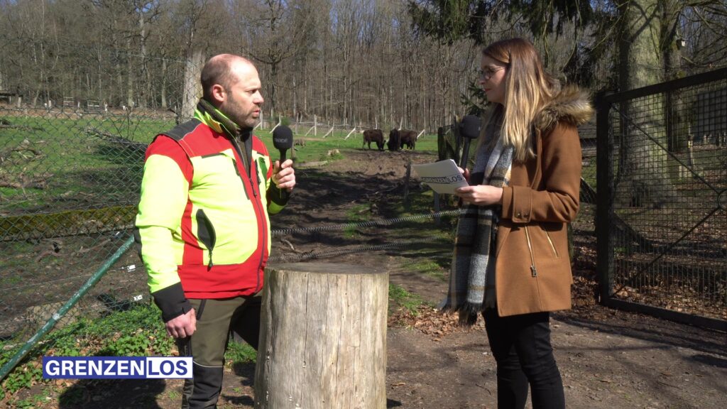 Grenzenlos : aux côtés des animaux