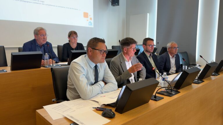 La formation aux métiers du bois prend forme à Bitche