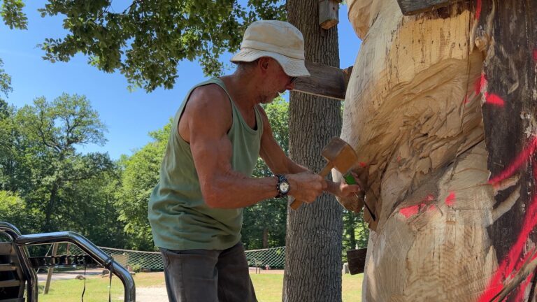 Un ours sculpté dans les bois de Sarreguemines