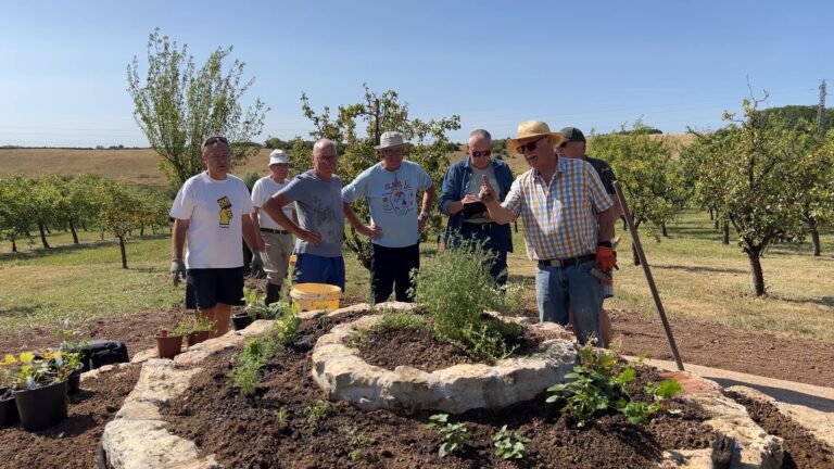 Le verger de Roth met en place une spirale aromatique