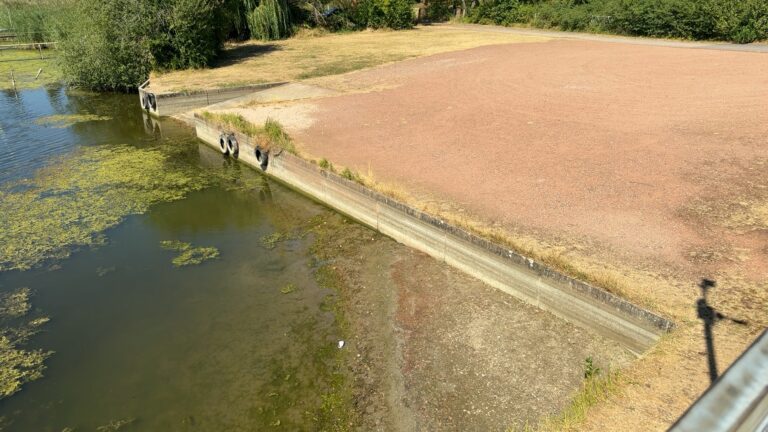 Sécheresse en Moselle : comment le camping de Holving s’adapte