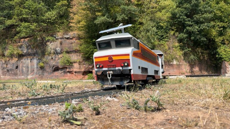 Mouterhouse : embarquez pour un tour en train