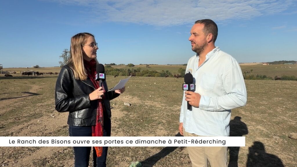 Le Ranch des Bisons ouvre ses portes ce dimanche à Petit-Réderching